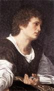 SAVOLDO, Giovanni Girolamo Bust of a Youth sg oil painting picture wholesale